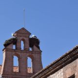 Alcalá de Henares: Literatura y Sabores