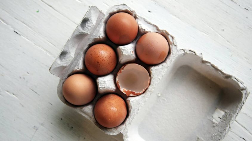 Salmonella: Riesgos en la cocina todo el año