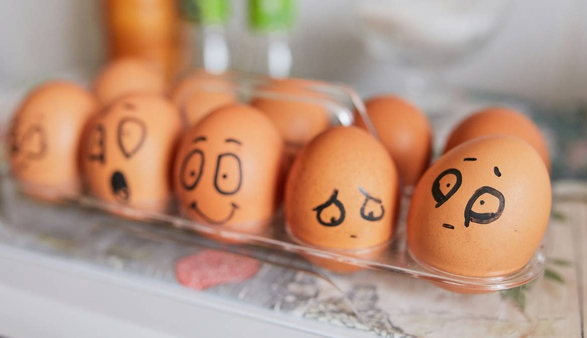 salmonella, seguridad alimentaria en la cocina