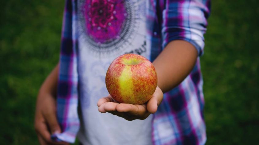 Consejos prácticos para que nuestros hijos puedan llevar frutas cortadas al colegio